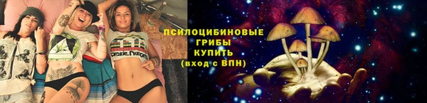 MDMA Premium VHQ Медногорск